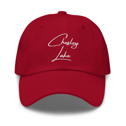 Everyday Dad Hat